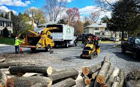 Watkins Glen, NY  Tree Services Company